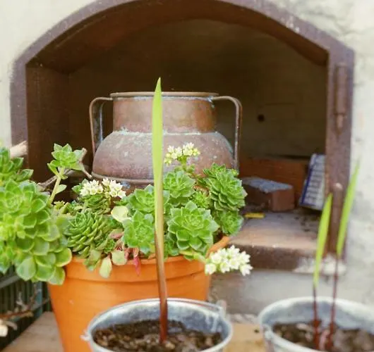 Bed & Breakfast Martin's Atouguia Da Baleia