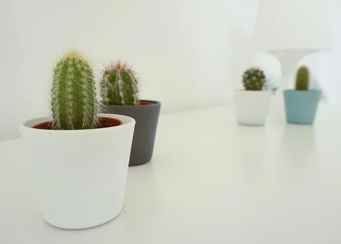 Bed & Breakfast Martin's